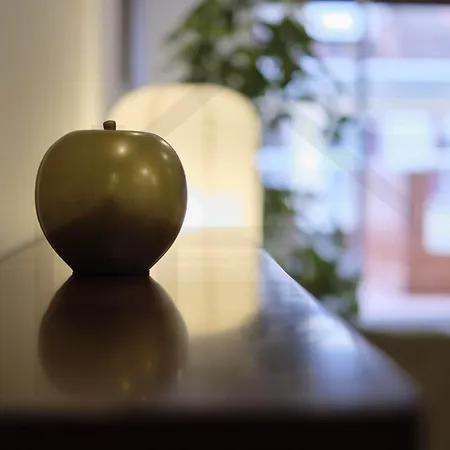 Atico Quintana I - Con Terraza, Vistas A La Ciudad, En El Centro, Con Wifi Y Garaje